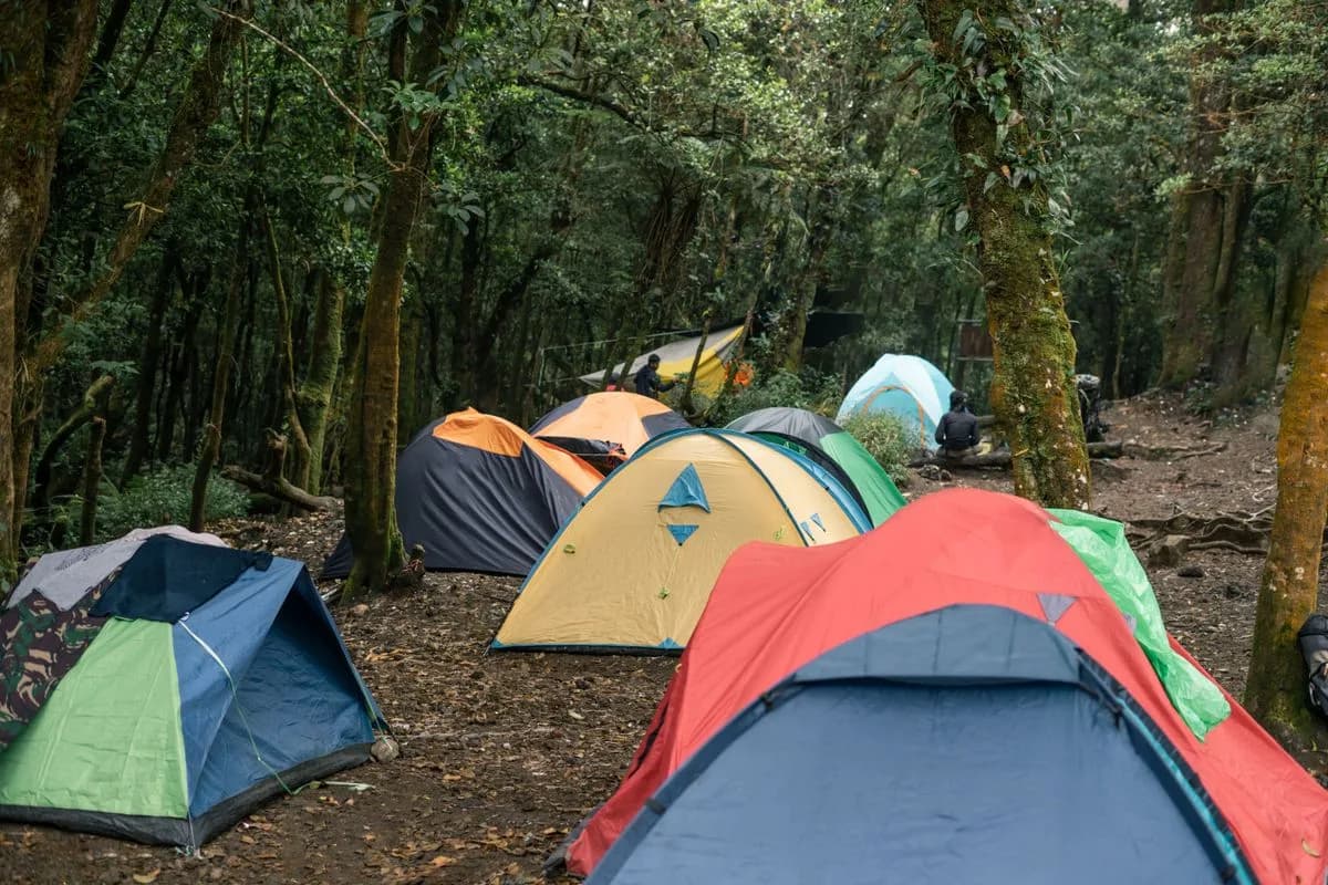 myNextDays-Oberfläche, Beispiel Campingplatz